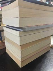 Elif Şafak seti-10 kitap