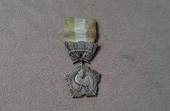 FRANSA ONUR MADALYASI B8125