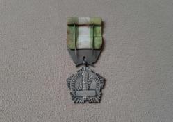 FRANSA ONUR MADALYASI B8125