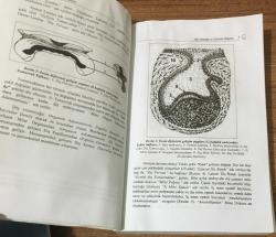 DİŞ MORFOLOJİSİ VE ANATOMİSİ Genişletilmiş 6.Baskı [Bkz.Açıklama]