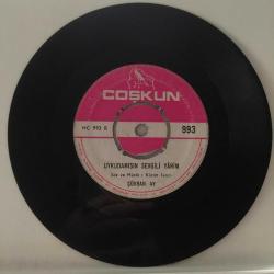 Şükran Ay - Kısmet / Uykuda mısın sevgili yarim / 45'lik