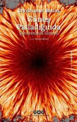 Güneş Patladığında (Şizofreninin Gizemi)