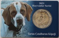 2021 Hayvanlar Serisi Tarsus Çatal burun Köpeği Hatıra Parası