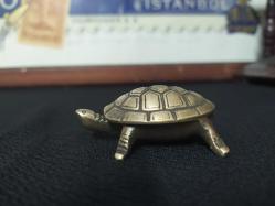 KAPLUMBAĞA KÜLLÜK