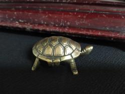 KAPLUMBAĞA KÜLLÜK