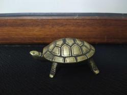 KAPLUMBAĞA KÜLLÜK