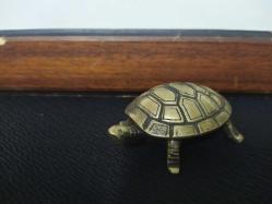 KAPLUMBAĞA KÜLLÜK