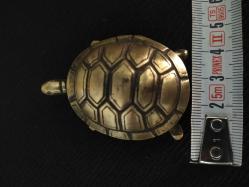 KAPLUMBAĞA KÜLLÜK