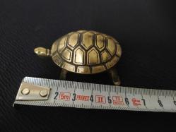 KAPLUMBAĞA KÜLLÜK