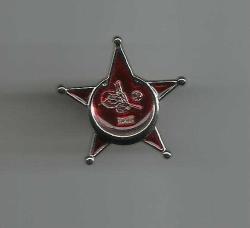 LOT.6 » ÇANAKKALE SAVAŞI YILDIZ MADALYA FORMUNDA YENİ YAPIM ROZET...