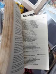 the odyssey - homer (homeros) (ing)