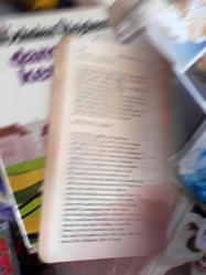 the odyssey - homer (homeros) (ing)