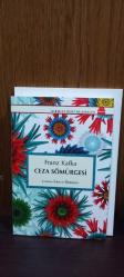 Ceza Sömürgesi