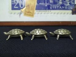 KAPLUMBAĞA KÜLLÜKLER