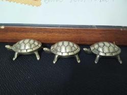 KAPLUMBAĞA KÜLLÜKLER