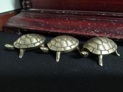 KAPLUMBAĞA KÜLLÜKLER