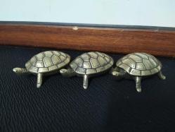 KAPLUMBAĞA KÜLLÜKLER