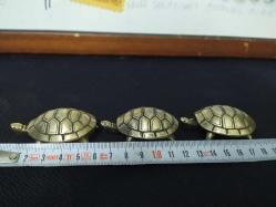 KAPLUMBAĞA KÜLLÜKLER