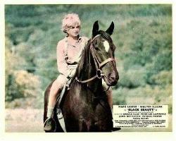 Black Beauty Original Lobby 3 Cards Mark Lester Eddie Golden 1971