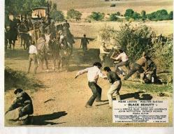 Black Beauty Original Lobby 3 Cards Mark Lester Eddie Golden 1971