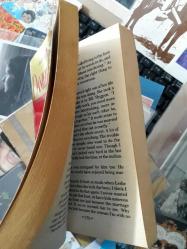 heartbeat - danielle steel  (ing)