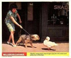 MILLION DOLLAR DUCK ORIGINAL MOVIE LOBBY CARDS SET OF 4   1971 DEAN JONES DISNEY PRODUCTIONS