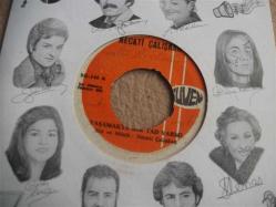 H - NECATİ ÇALIŞKAN - Yaşamakta bir tad var mı? - Ben ağacın dalları gövdesi de sen idin