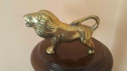 PİRİNÇ ASLAN  ( Büyük boy )