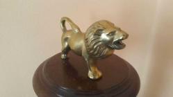 PİRİNÇ ASLAN  ( Büyük boy )