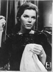 WALKING STICK, BENİ NİYE SEÇTİN SAMANTHA EDGAR DAVID HEMMINGS