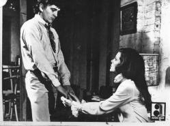 WALKING STICK, BENİ NİYE SEÇTİN SAMANTHA EDGAR DAVID HEMMINGS