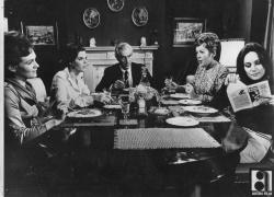 WALKING STICK, BENİ NİYE SEÇTİN SAMANTHA EDGAR DAVID HEMMINGS