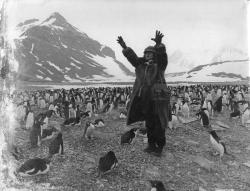 Efemera - MR. FURBUSH AND THE PINGUINS" CESUR AŞIK" John Hurt,Hayley Mills,Dudley Sutton 22 LOBBY PHOTO CARD - kitantik - kitaLog