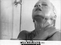 ÇAKIL TAŞI VİRNA LİSİ  1972  