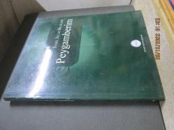 TEMEL İSLAM BİLGİLERİ PEYGAMBERİM