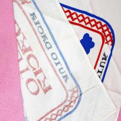 VINTAGE RENAULT 12 RESİMLİ AUTO DACIA TEKSTİL BEZ PANO