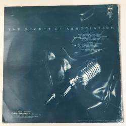 Paul Young - The Secret Of Association / 1985 Turkey / LP / *New Wave, Pop Rock*