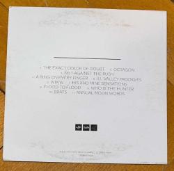 LIARS * WIXIW * 2012 MUTE RECORDS * CD CARDSLEEVE