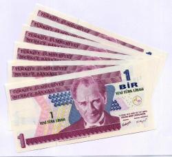 Antika - 8. EMİSYON 1 YTL ÇİL 6 ADET KAĞIT PARA  GÖRSELDEKİ ÜRÜN /28 - kitantik - kitaLog