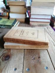 Divan-ı Kebir'den Seçme Şiirler I - II