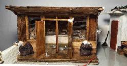 ''TERASTA GÜVERCİNLER''