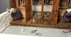 ''TERASTA GÜVERCİNLER''