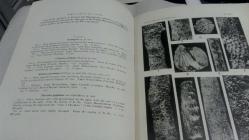 ON THE CRETACEOUS  AGE OF THE SO - CALLED JURASSIC CHEILOSTOMATUS POLYZOA (BRYOZOA)