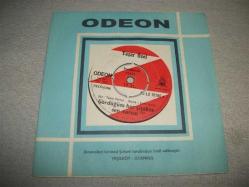 Efemera - 23 - YAŞAR ÖZEL - Gördüğüm her çiçekte sen varsın - İstanbul - kitantik - kitaLog