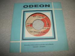 24 - HALİT ARAPOĞLU - Sevda yüklü kervanlar - Özür diliyorum senden