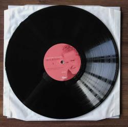 Metin Belgin – Rüzgara Karşı Yürüyen Adam : Nazım Hikmet, Plak, LP, Vinyl, Numaralı, Limitli Baskı