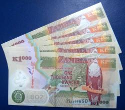 ZAMBİYA=2008  1000 Kwacha P-44f   ÇİL'  POLYMER  5 Adet!