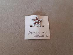 AMERİKAN ASKERİ ÖĞRENCİ ROZETİ - MADALYA B8410