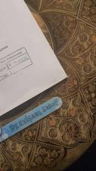 Rabindranath Tagore ve Ateşböcekleri