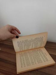 GÜNEŞ ÇOCUĞU - DÜNYA MUHARİRLERİNDEN TERCÜMELER SERİSİ